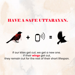 Makar Sankranti Wisehs Images, Poster and Status Free Download 28 16099989553877 Fest vruti uttarayan 06012021 9 square Makar Sankranti